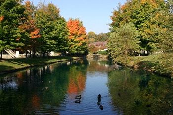 Gorgeous lake views available